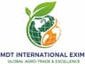 MDT International logo