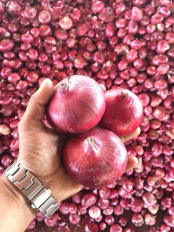 Red Onion Fields
