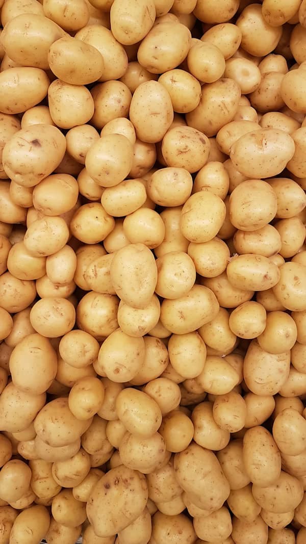 Fresh Potato